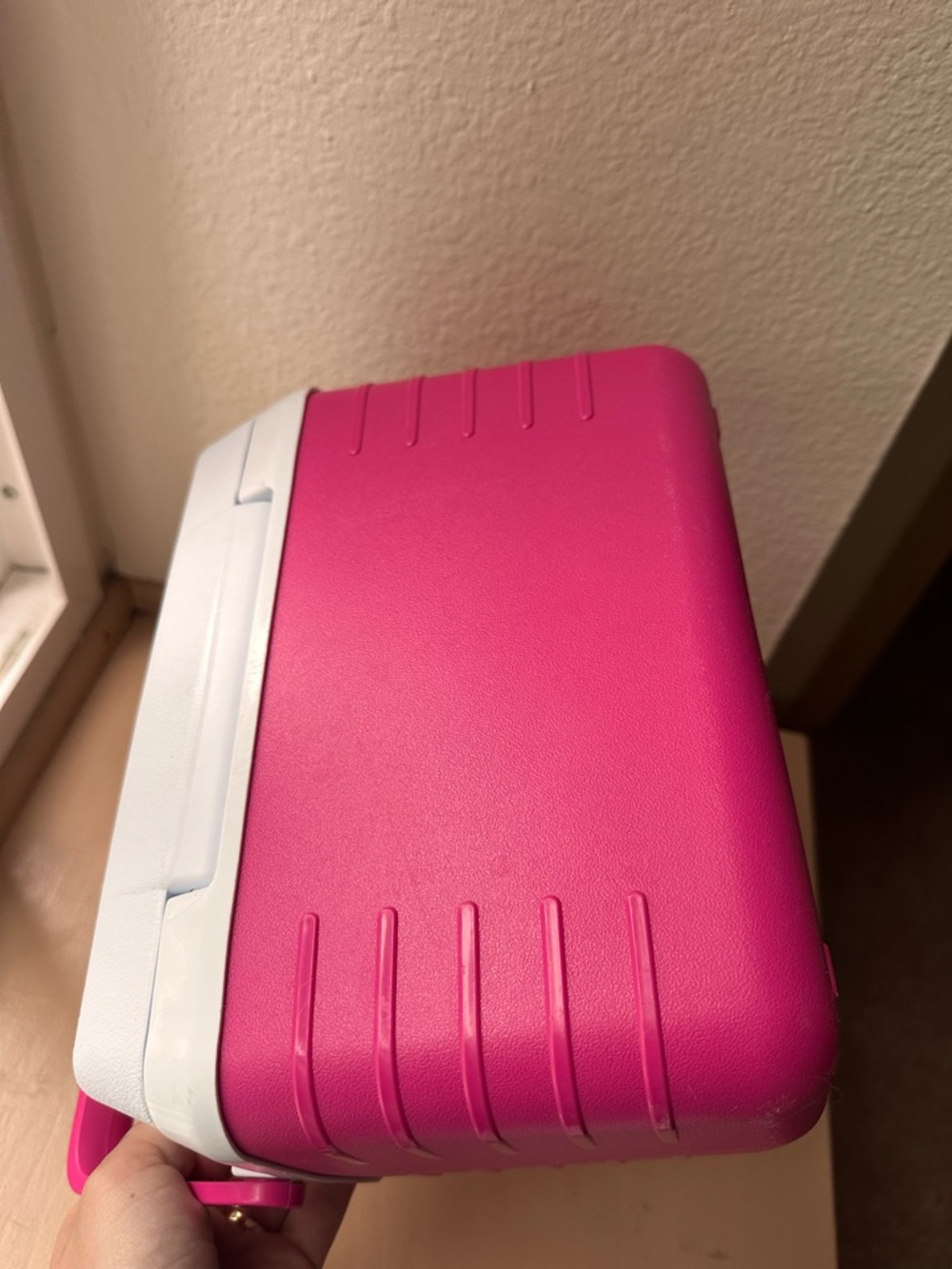 Mini Pink Hardshell Cooler - Picture 9 of 9